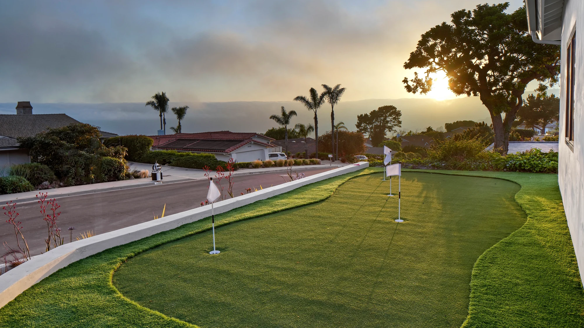 Sunset over the coastline seen from the side garden, the sun dropping behind a broad old tree with palms silhouetted and a curved putting green in the foreground